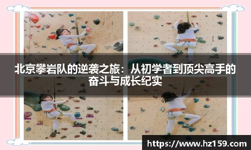 77体育直播官网