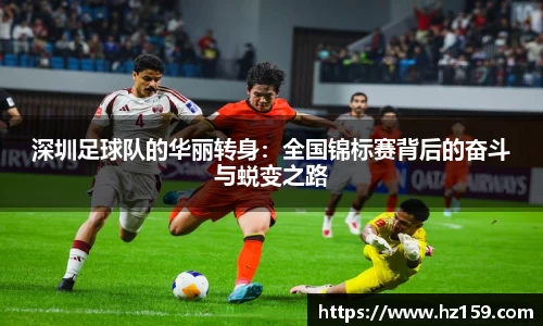 77体育官网